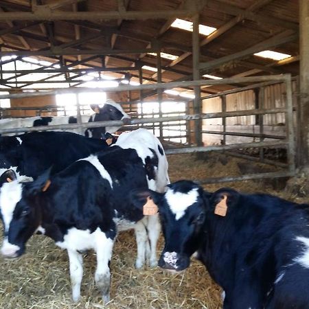 Charmante Maison A La Ferme Valderies Εξωτερικό φωτογραφία