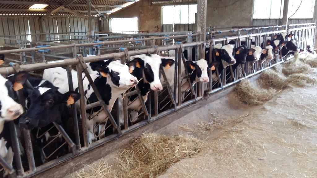 Charmante Maison A La Ferme Valderies Εξωτερικό φωτογραφία