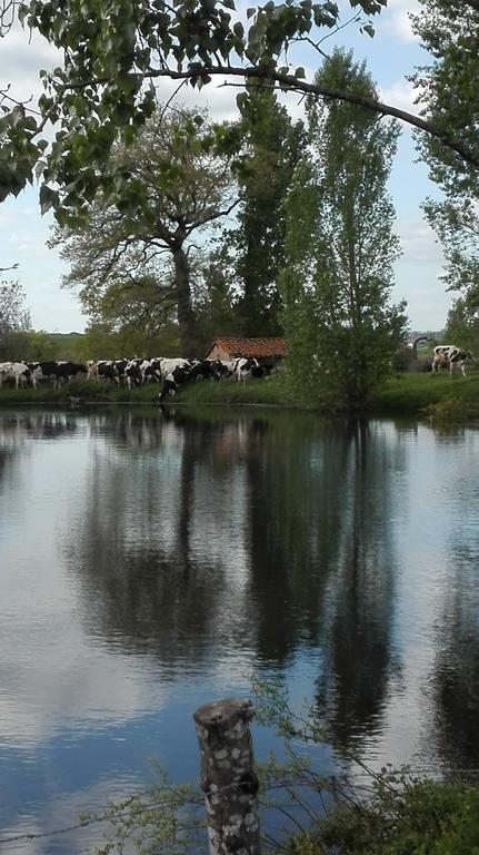 Charmante Maison A La Ferme Valderies Εξωτερικό φωτογραφία
