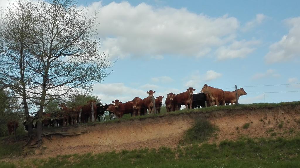 Charmante Maison A La Ferme Valderies Εξωτερικό φωτογραφία