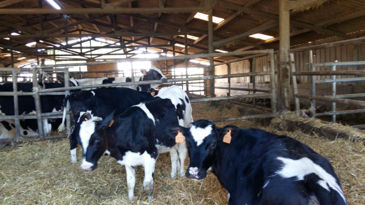 Charmante Maison A La Ferme Valderies Εξωτερικό φωτογραφία