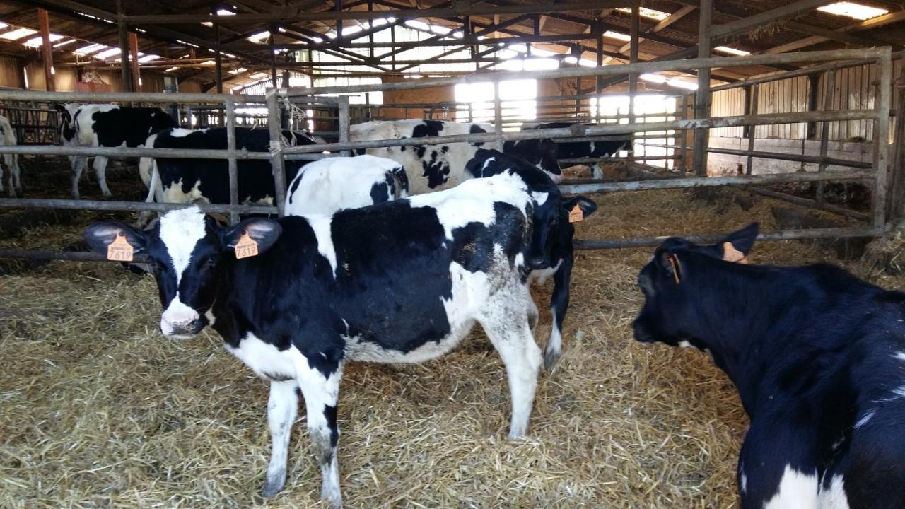 Charmante Maison A La Ferme Valderies Εξωτερικό φωτογραφία